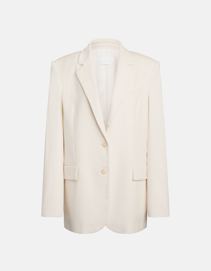 Blazer monopetto loose in velluto stretch