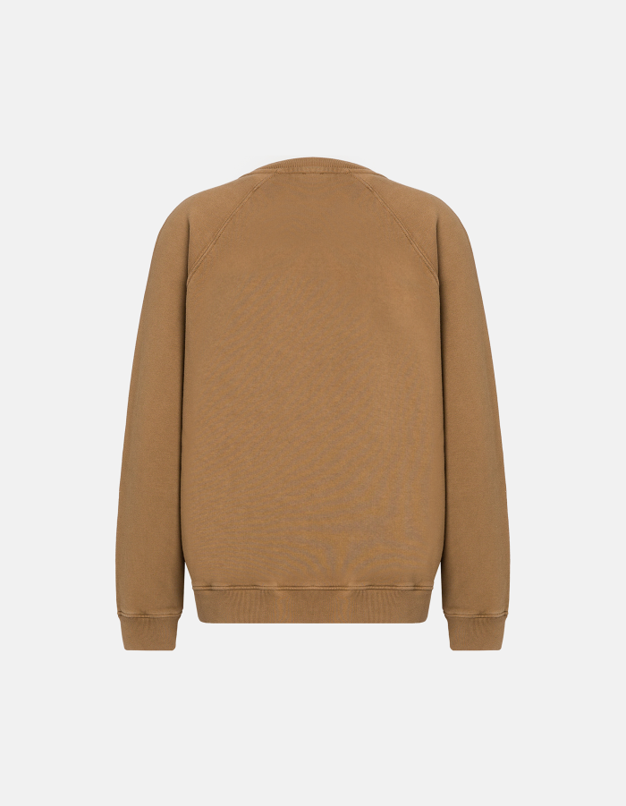 Regular-fit crew-neck cotton sweatshirt