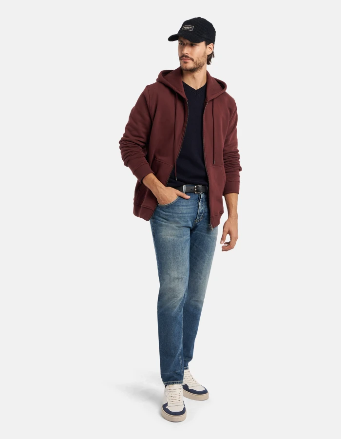 Regular-fit hooded sweatshirt in cotton