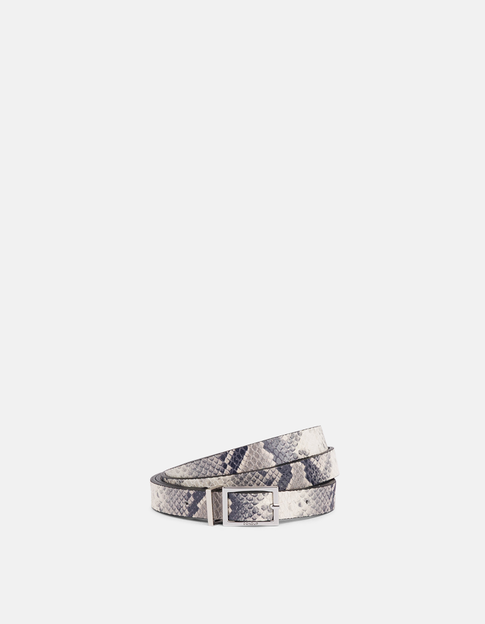 Belt in printed python
